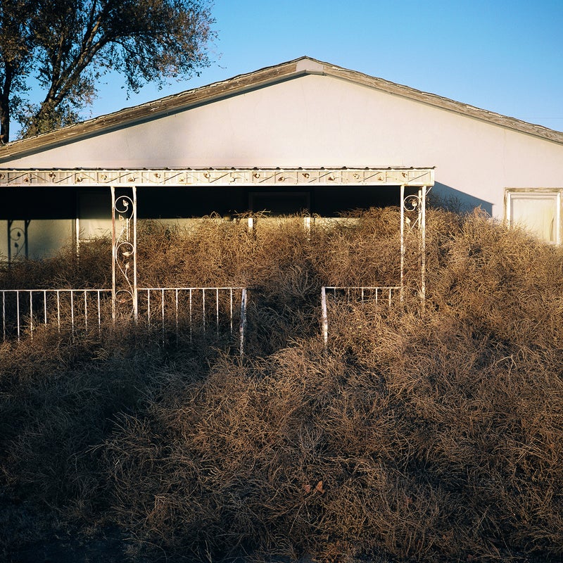 One Photographer's Mission to Capture America's Tumbleweed Invasion