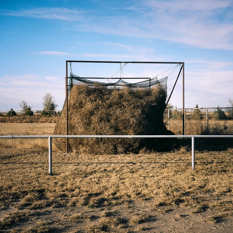 Eads, Colorado, was another town that got hit by a big storm recently. I couldn't make it until a few days after the storm, but when I did, this batting cage was one of the things I found. It must have been open, and when the tumbleweeds blew through they just filled up the netting.