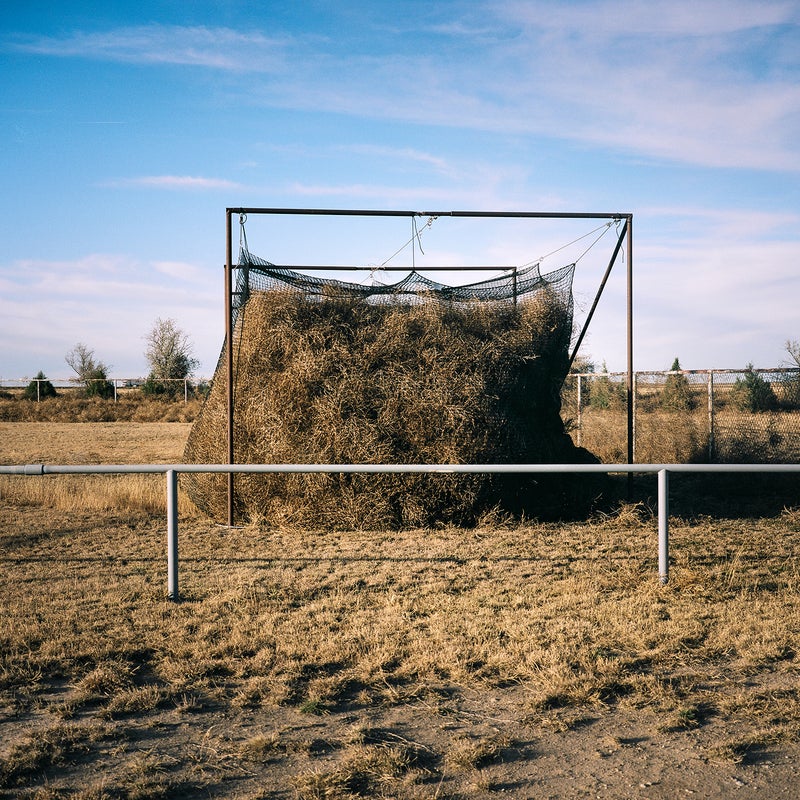 One Photographer's Mission to Capture America's Tumbleweed Invasion