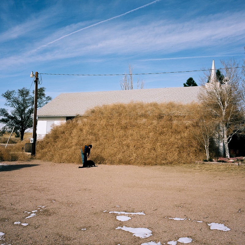 VIDEO] Colorado neighborhood buried by thousands of tumbleweeds