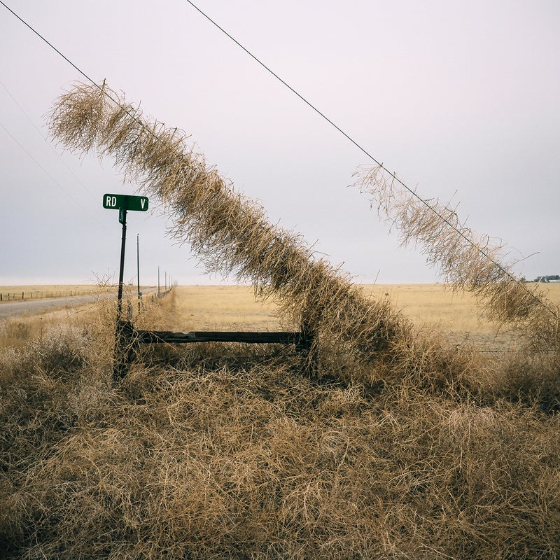 One Photographer's Mission to Capture America's Tumbleweed Invasion