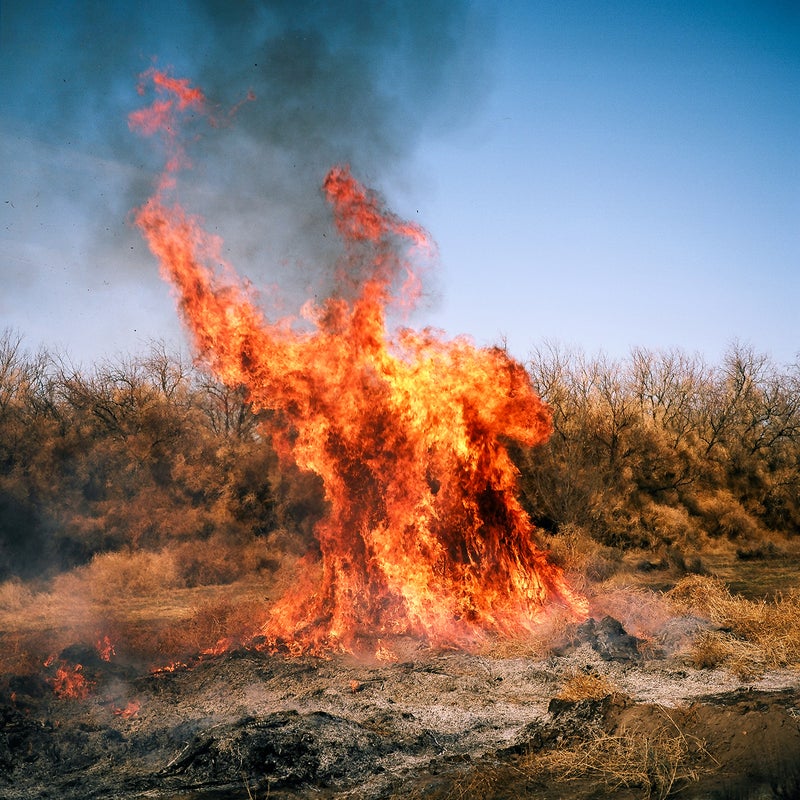 One Photographer's Mission to Capture America's Tumbleweed Invasion