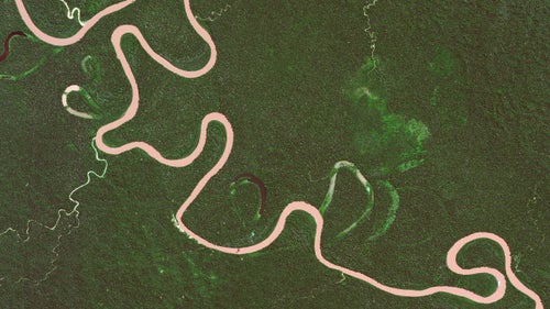 The Rio Madre de Dios swirls in the rainforests of Peru. Oxbow lakes鈥攖he U鈥恠haped branches coming off the main river鈥攆orm when a wide meander from the main stem of a river is cut off, creating a free鈥恠tanding body of water.