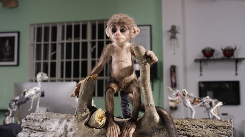 The team never underestimates animals鈥 ability to distinguish real wildlife from spy wildlife, so design is meticulous. On spies with fur, like the langur pictured, a synthetic coat is punched hair-by-hair into the silicone frame. Out in the field, the team will go so far as to apply Vaseline to the creature鈥檚 eyes and nose to give them a realistic luster.