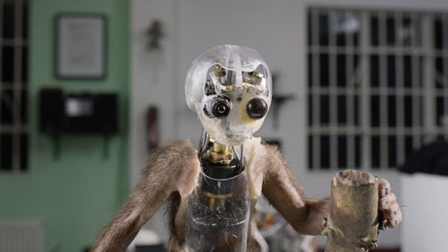 Producer Matthew Gordon, a trained primatologist, worked with Spy Langur in the field. More than filmmakers, the producers are 鈥渁nimal people,鈥 says producer Rob Pilley鈥攂iologists, ecologists, and zoologists.
