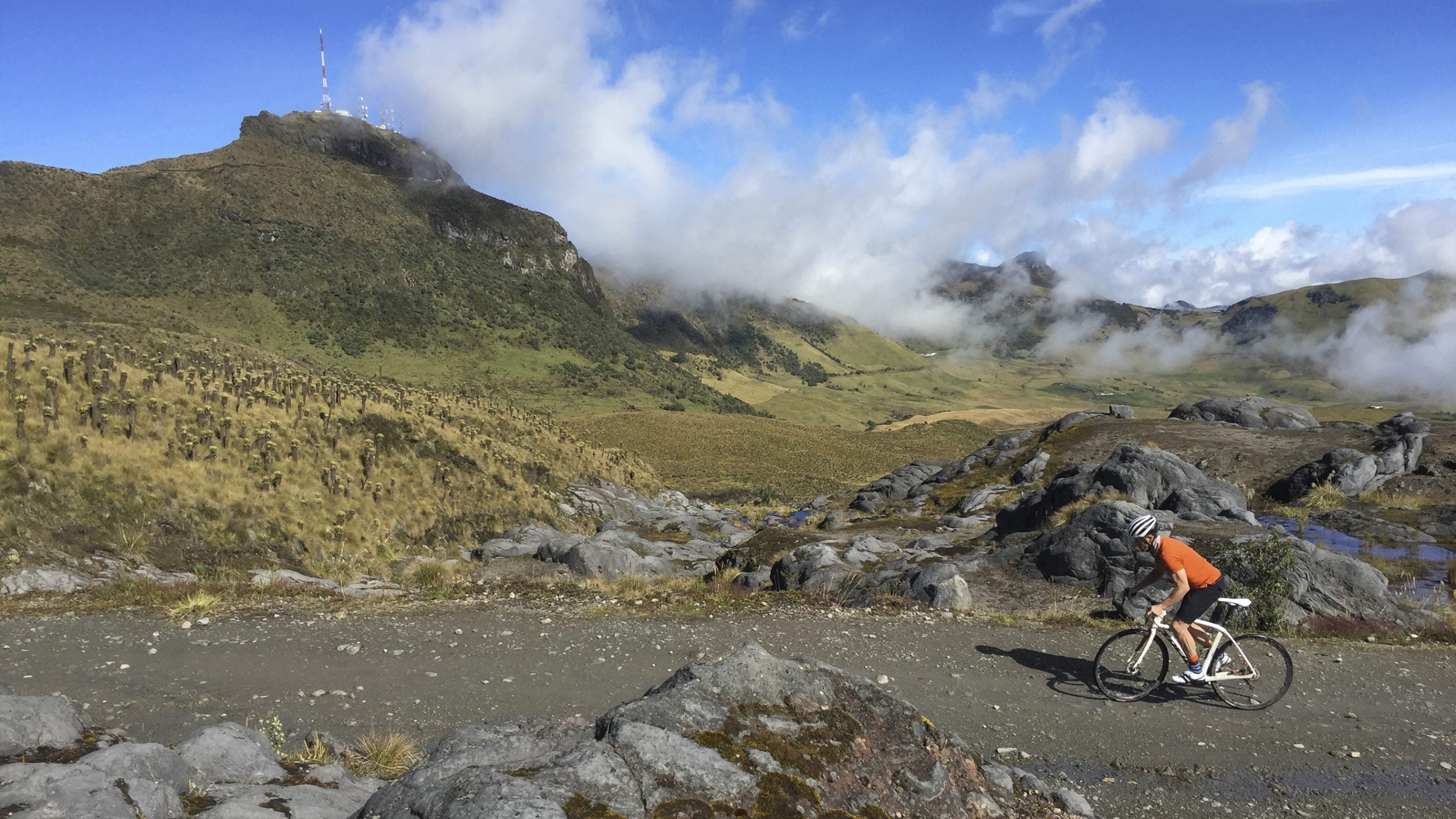 One of the best ways to see the world is from the seat of your bicycle. 