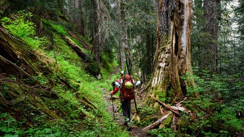 In this photo, Tim Black hikes below Anderson Pass during our quest to complete the first north-to-south ski traverse of the Olympic Mountains, from Hurricane Ridge to Lake Cushman.
