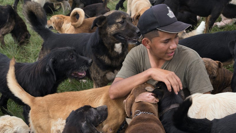 Misael Calderon Santeno gathers with the dogs for a daily walk.