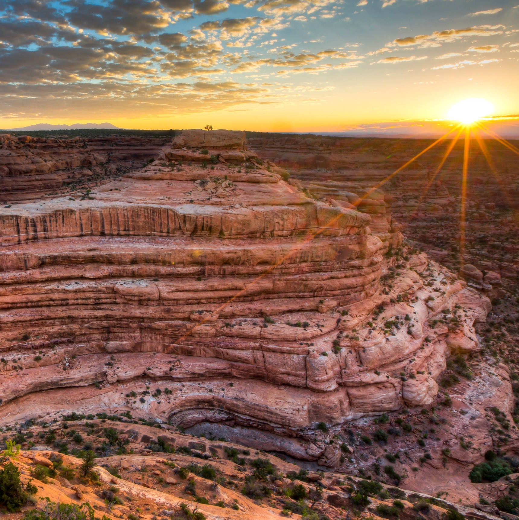 Cedar Mesa Citadel ruins in Bears Ears National Monument.