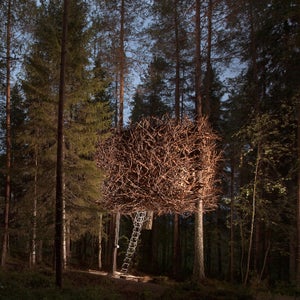 Your entire family can sleep in this birds nest.