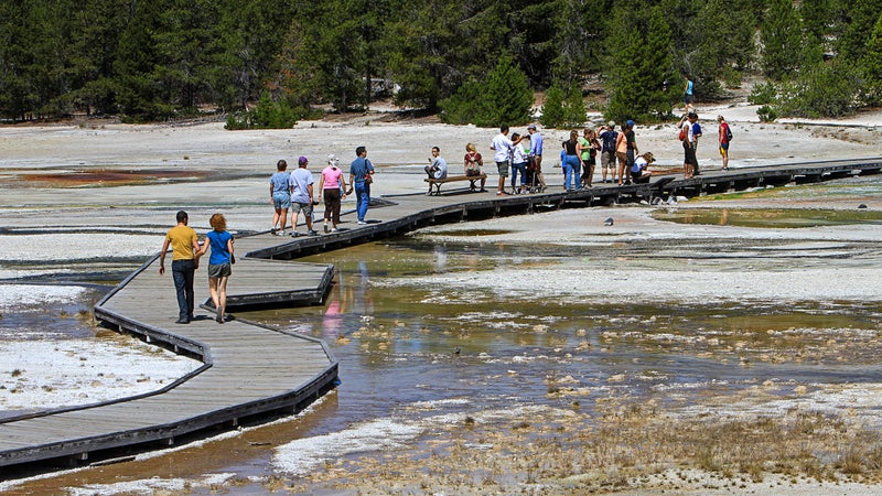 The water is lava—no, seriously, stay on the bridge.