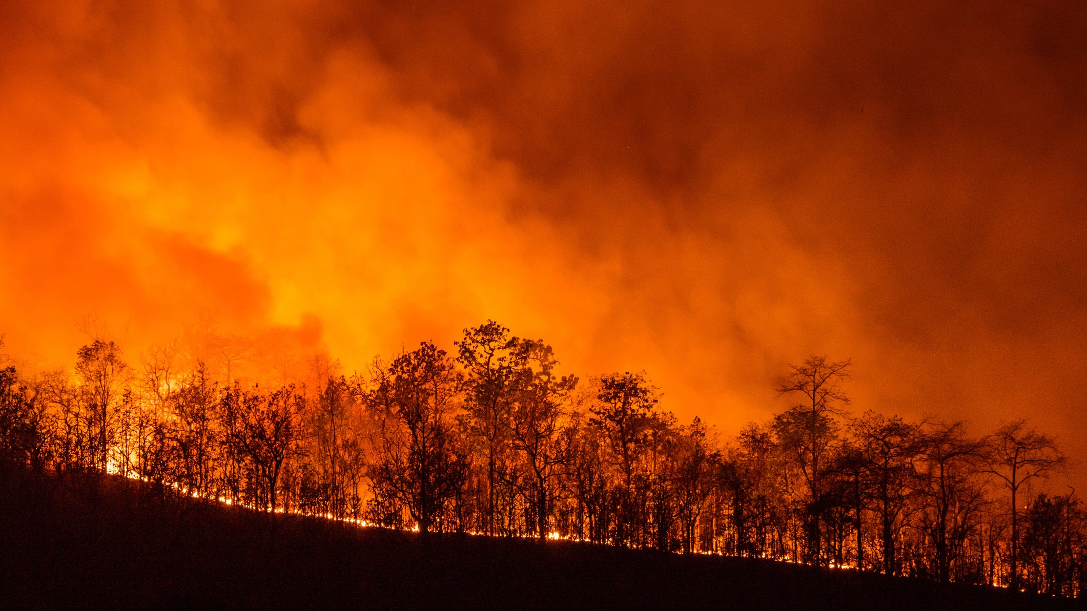 Forest fire at night in Chiangmai, Thailand.