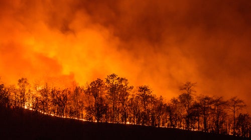 Forest fire at night in Chiangmai, Thailand.