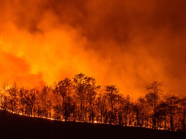Forest fire at night in Chiangmai, Thailand.