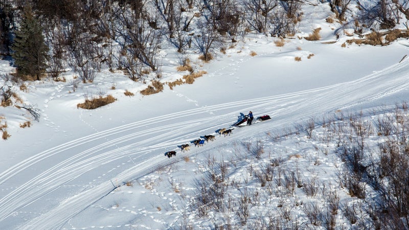 An aerial view of a sled dog team