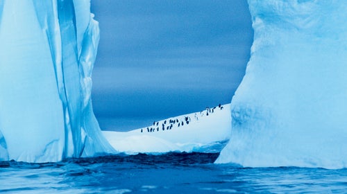 You really can do it all.