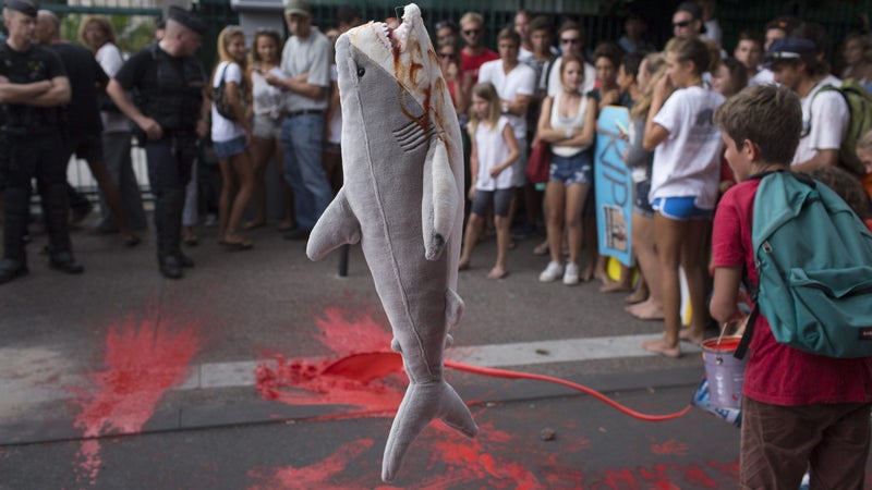 Advocates for shark culling gather at Reunion Island after a number of fatal attacks.