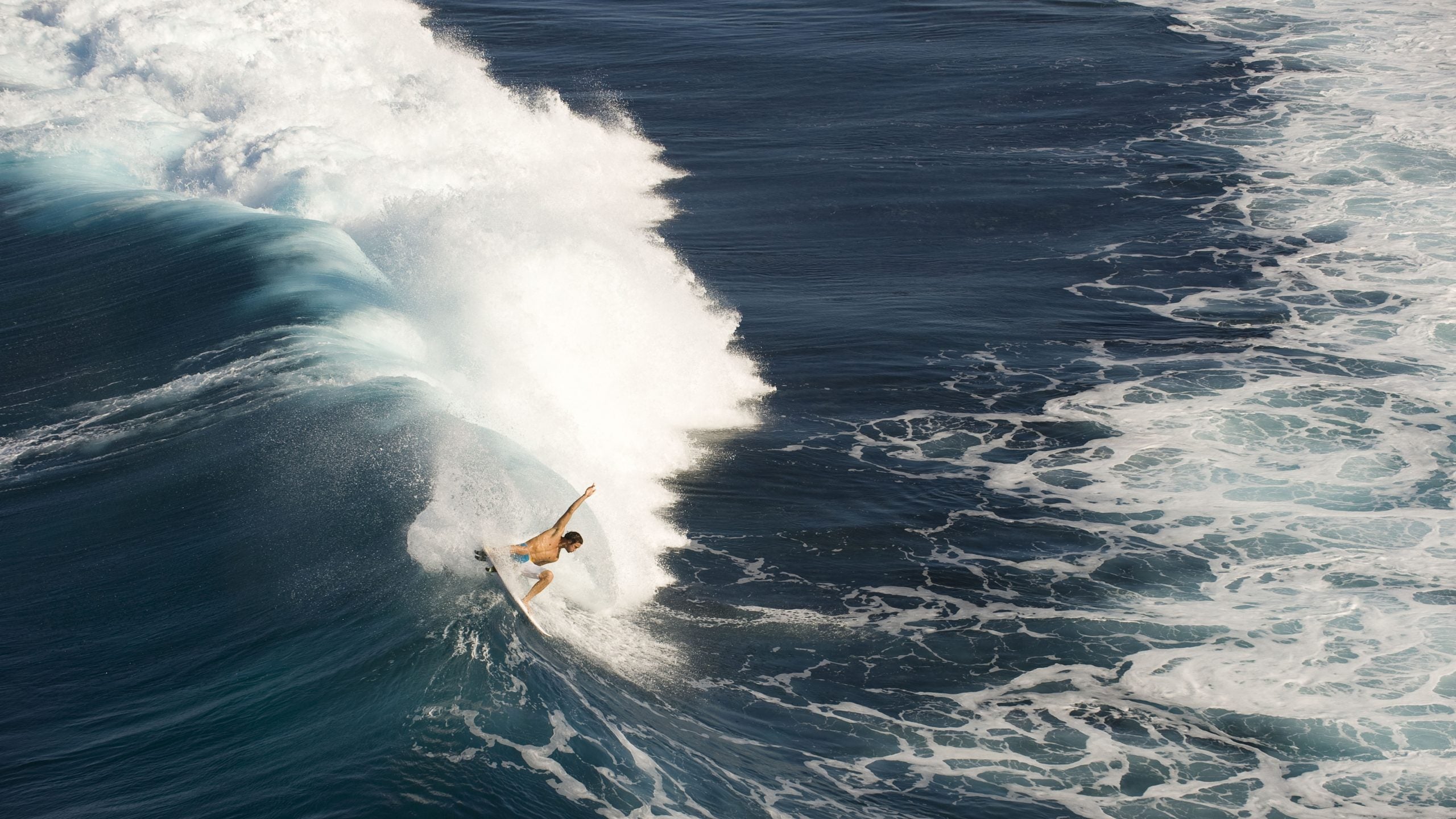Far from improving things, killing the sharks would make the situation worse at Reunion Island. 