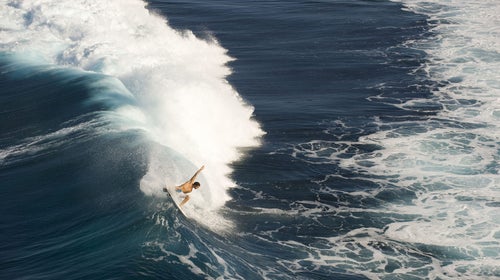 Far from improving things, killing the sharks would make the situation worse at Reunion Island.