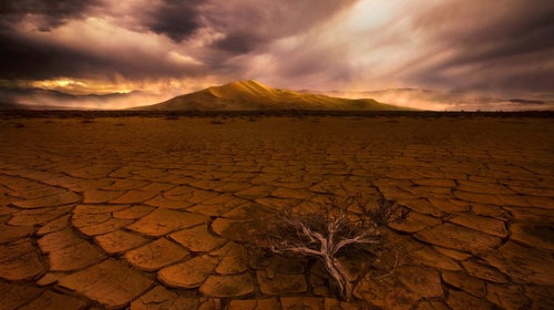 Death Valley got its name for a reason: this alien and deliriously hot landscape is one of the most deadly in the world.