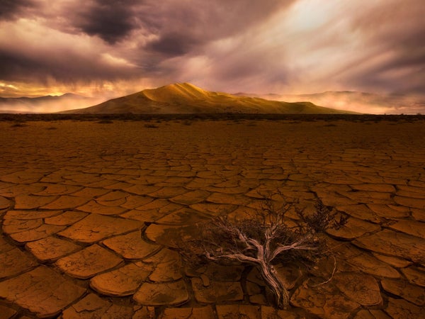 Death Valley got its name for a reason: this alien and deliriously hot landscape is one of the most deadly in the world.