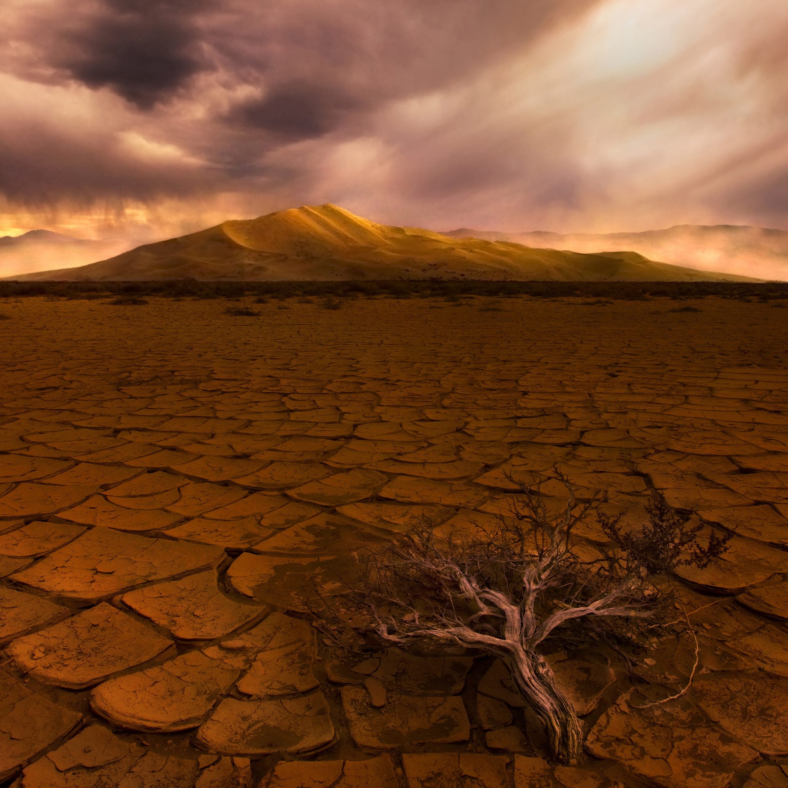 Death Valley got its name for a reason: this alien and deliriously hot landscape is one of the most deadly in the world.