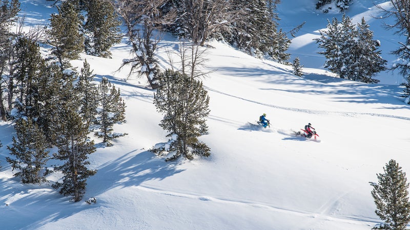 The lines you carve on a Timbersled are a lot like the big arcs you'd put down on a snowboard.