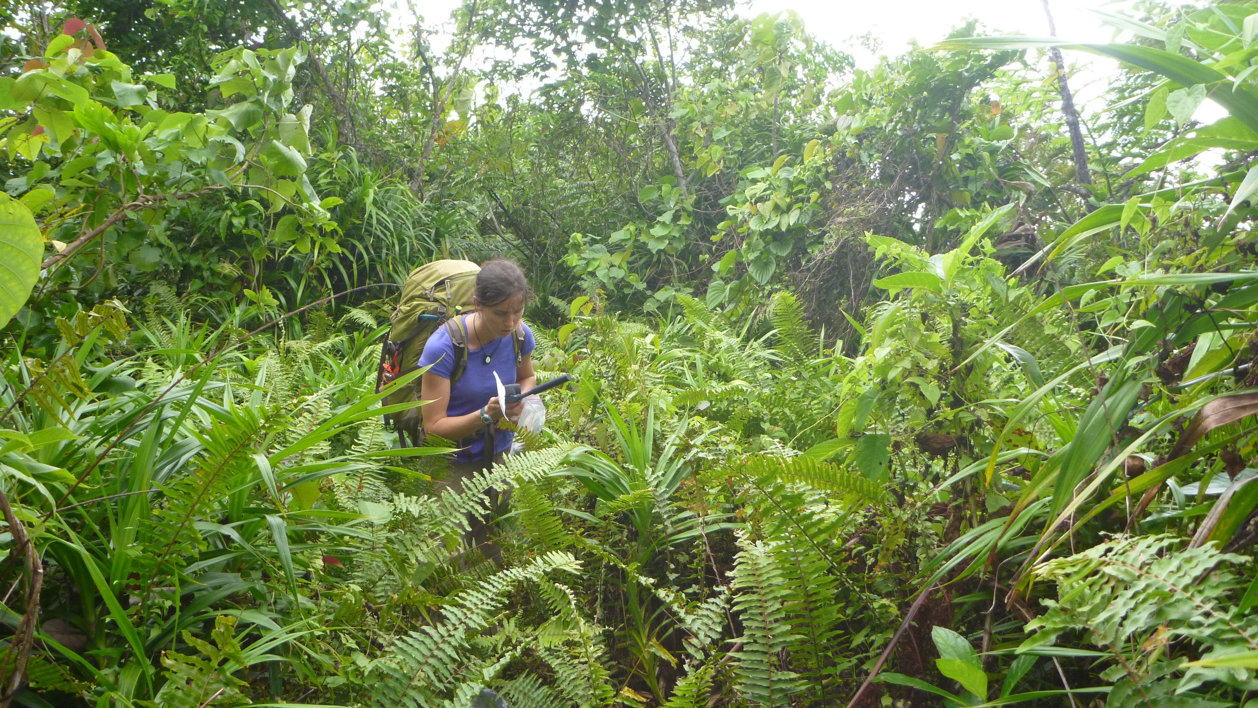 Pacific Islands FIA coordinator Ashley Lehman is well-versed in what it means to work in extreme weather conditions.