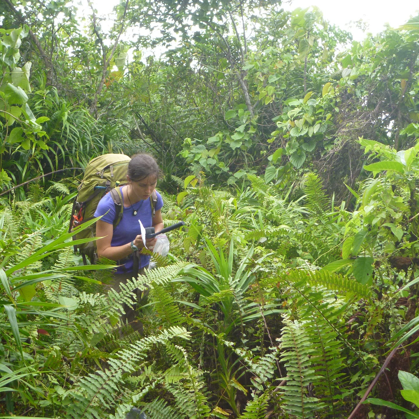 Pacific Islands FIA Coordinator, Ashley Lehman, is well-versed in what it means to work in extreme weather conditions.