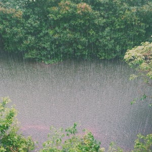 Finding motivation to go outdoors when it's raining isn't always easy—but it's almost always worth it.