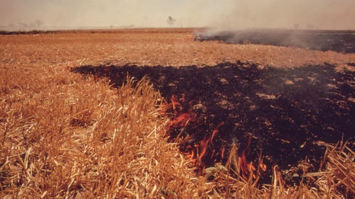 This entire field of straw in the Imperial Valley, west of El Centro, California, burned in less than half an hour. Smoke was visible for 20 miles.