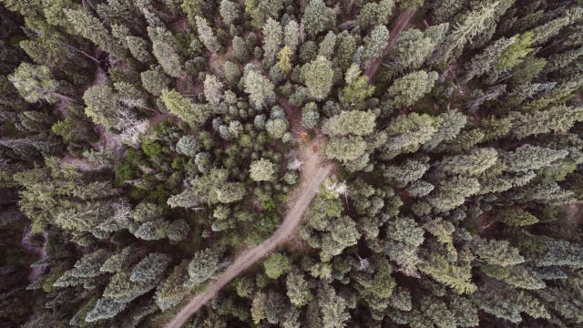 How 1,600 People Disappeared on Our Public Lands