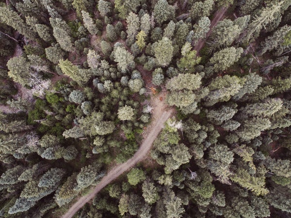 The wild is free and open, full of opportunity to explore—and also to get lost.