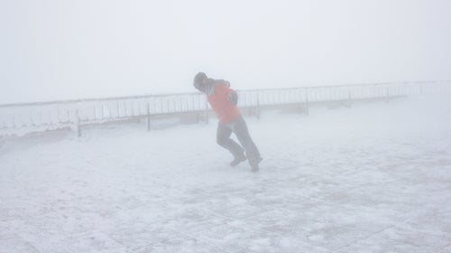 Leaning into 70 to 80 mph winds—not just for dogs on the highway.