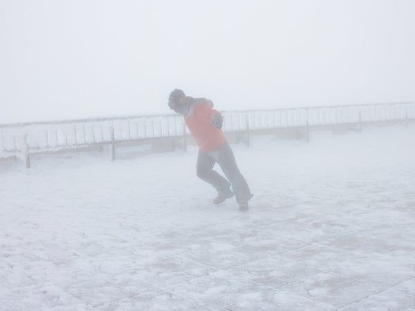 Leaning into 70 to 80 mph winds—not just for dogs on the highway.