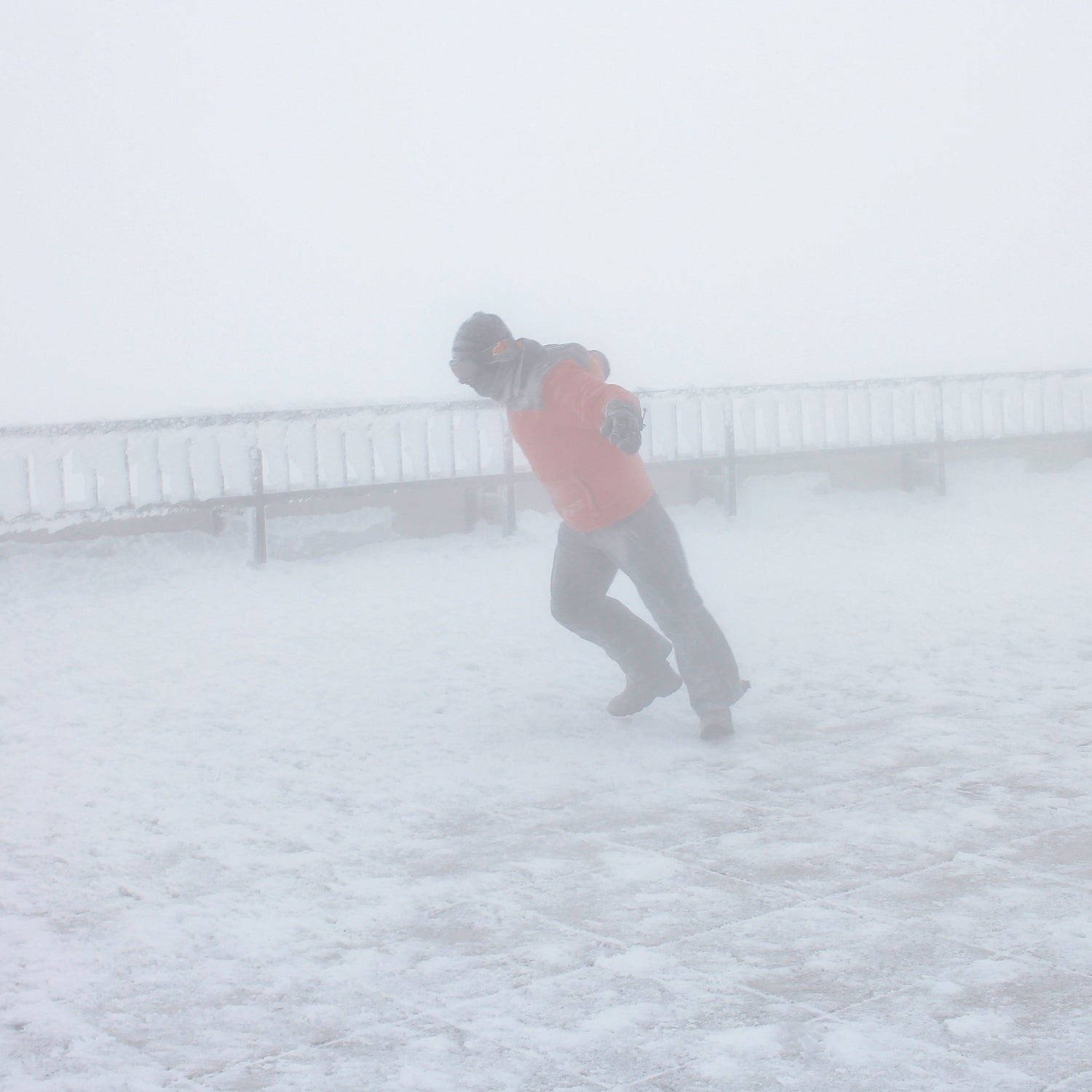 Leaning into 70-80 mph winds—not just for dogs on the highway.