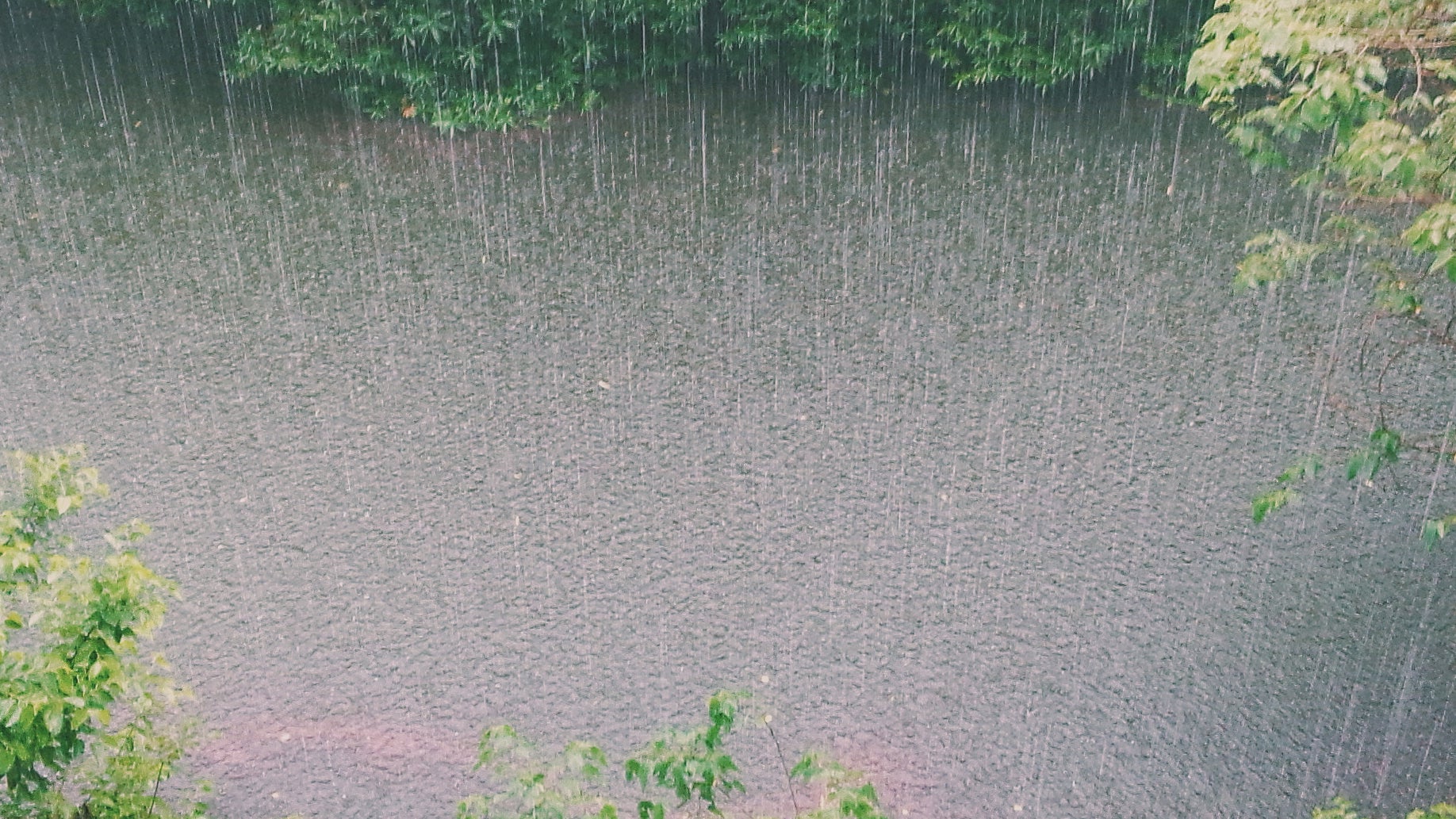 Finding motivation to go outdoors when it's raining isn't always easy—but it's almost always worth it. 