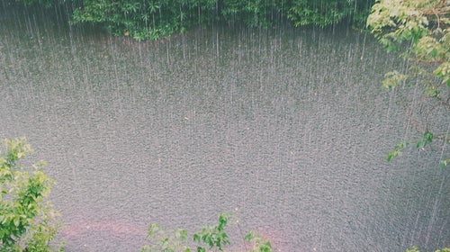 Finding motivation to go outdoors when it's raining isn't always easy—but it's almost always worth it.