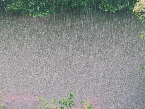 Finding motivation to go outdoors when it's raining isn't always easy—but it's almost always worth it.