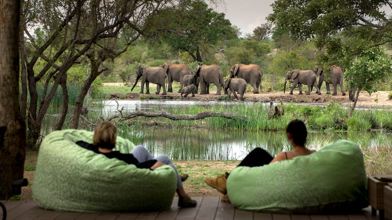 Watching elephants from camp Tanda Tula, Greater Kruger National Park.