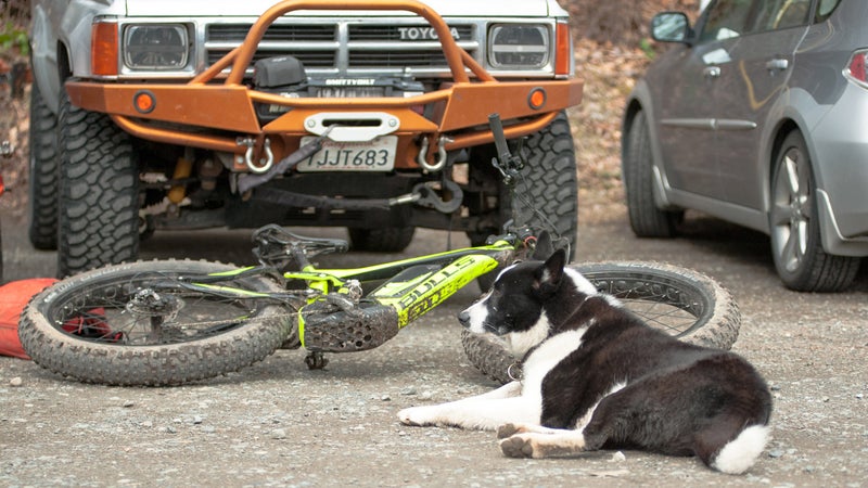 Have an athletic dog (or three), that you need to provide exercise for? Nothing wears a pooch out like chasing an e-MTB for four hours.
