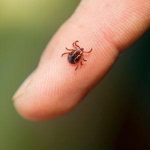 Many hikers don't see think of lyme disease as a real threat—especially since early symptoms can be easily overlooked as a mild cold.