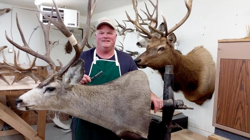 Brent Nearpass estimates he's stuffed at least a thousand animals in his lifetime.