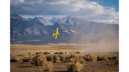 Duke Phillips III, founder and CEO of Ranchlands and a third-generation rancher, uses his bush plane to help bring the ranch鈥檚 herd of approximately 2,500 bison off the range and into the corrals.