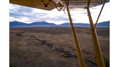 High above the bunchgrasses and meandering creeks of the ranch, Phillips III scours the 50,000-acre pasture looking for any stragglers from the herd.