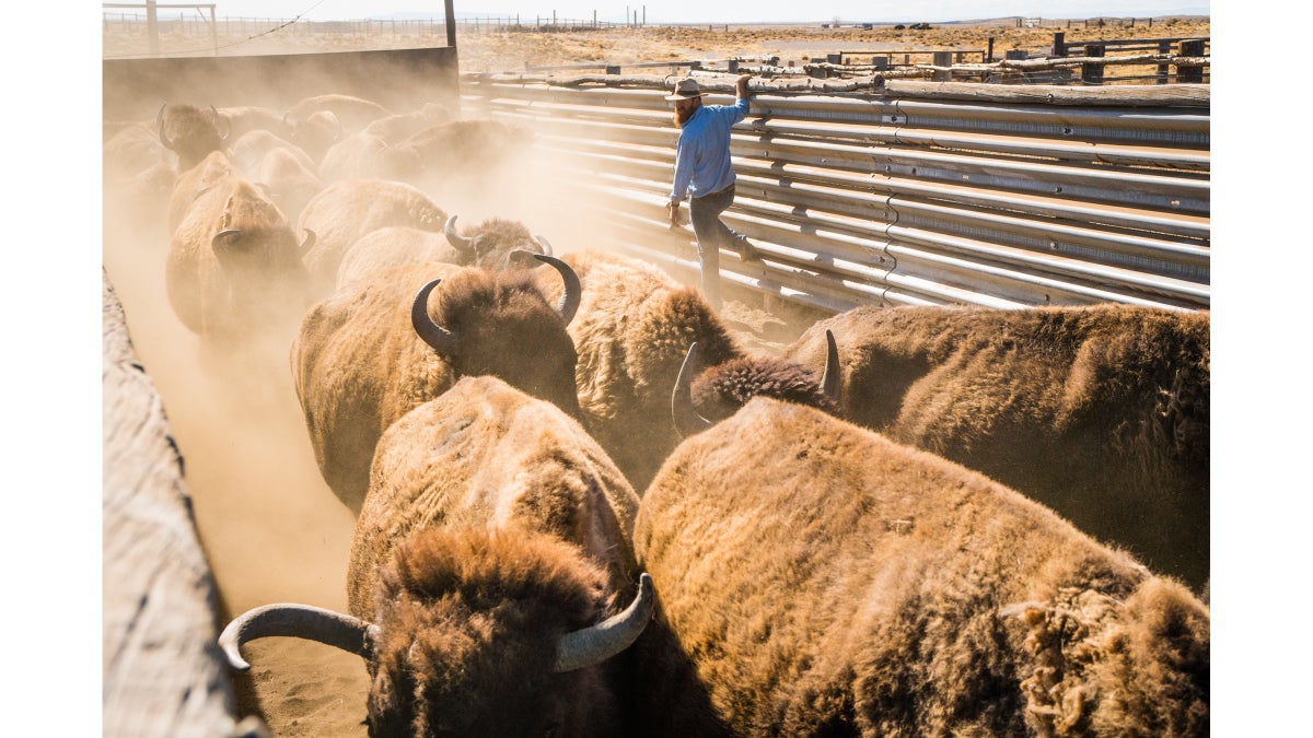 The New Faces of Land Management - Outside Online