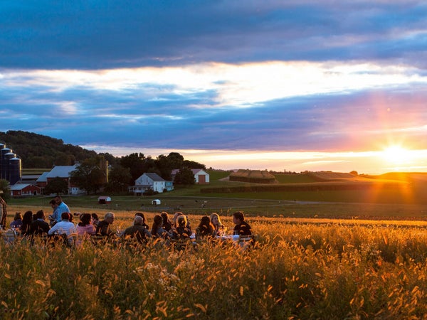 Outstanding in the Field serves up restaurant-quality meals outdoors, reinventing the typical backyard barbecue.