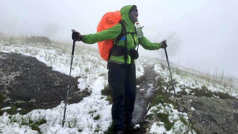 A gloomy day on Roan Mountain, Tennessee