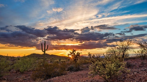 Gary Paul Nabhan spent years wandering the Sonoran Desert in search of a rare chile.