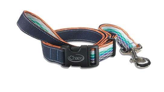 The Best Leashes for Adventurous Dogs